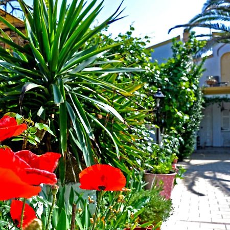 Villa Elena Studios Dassiá Eksteriør bilde
