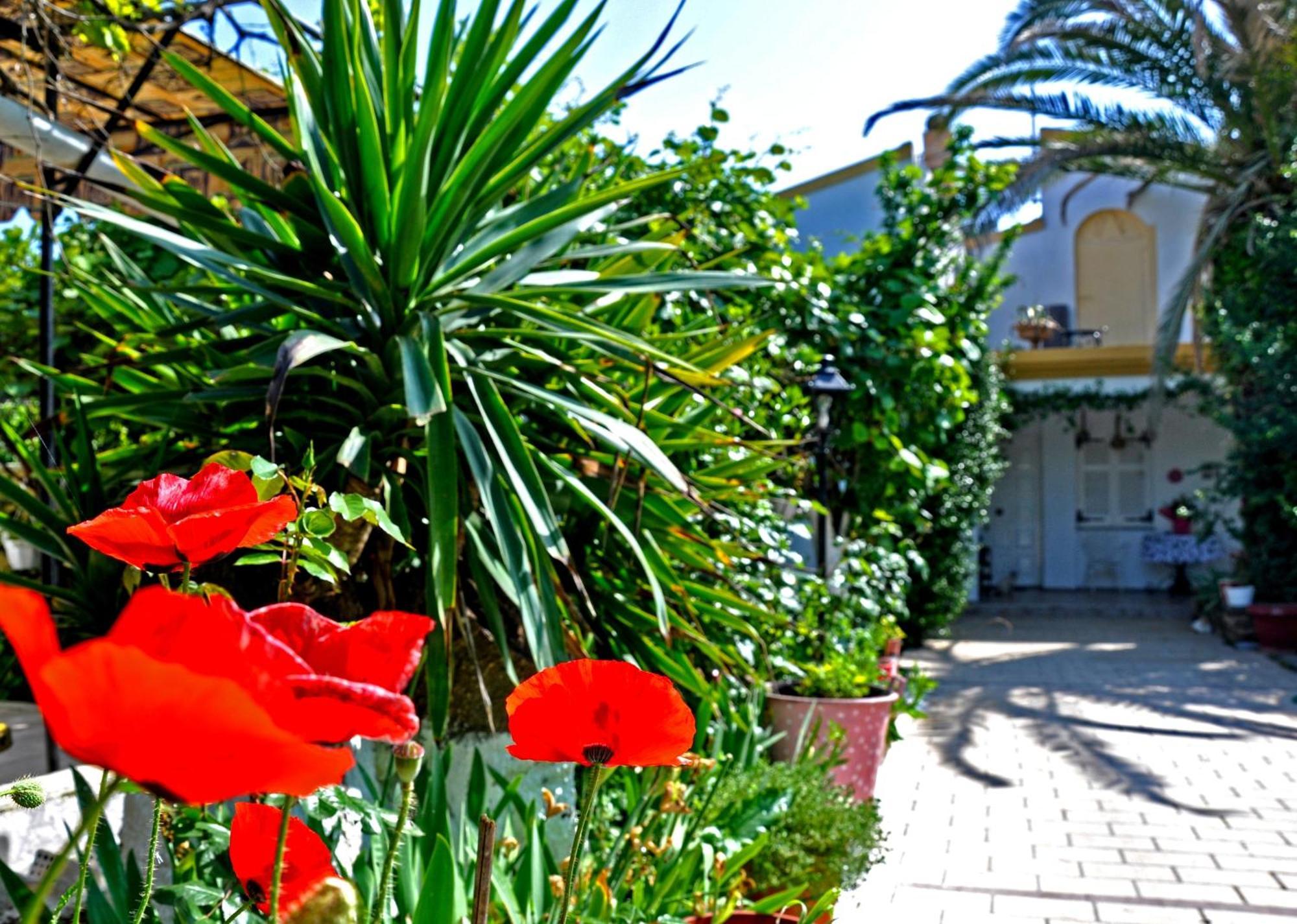 Villa Elena Studios Dassiá Eksteriør bilde